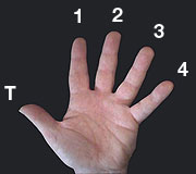 Numbering of the fingers of the right hand (the hand that picks the strings)