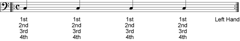 Exercise 6